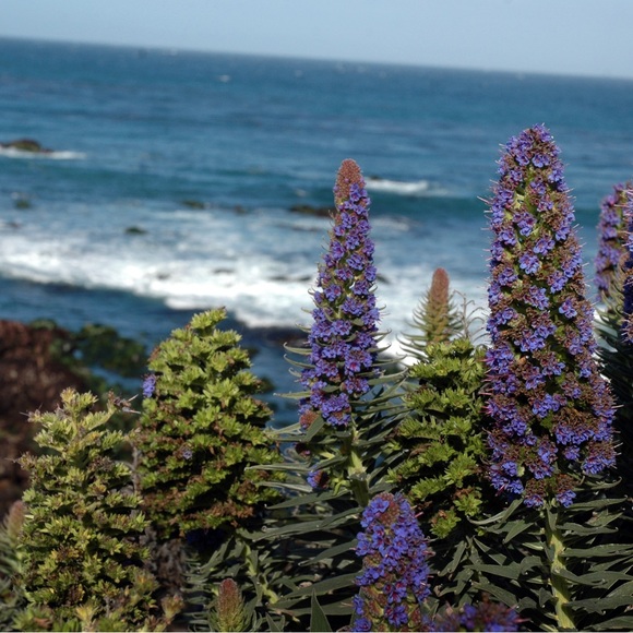 Meet your Posher, Janice - Picture 14 of 17